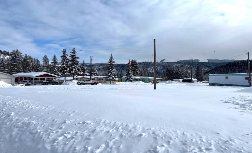 1558 NEWGATE CRESCENT, Elkford, British Columbia V0B1H0, ,Vacant Land,For Sale,NEWGATE CRESCENT,2469175