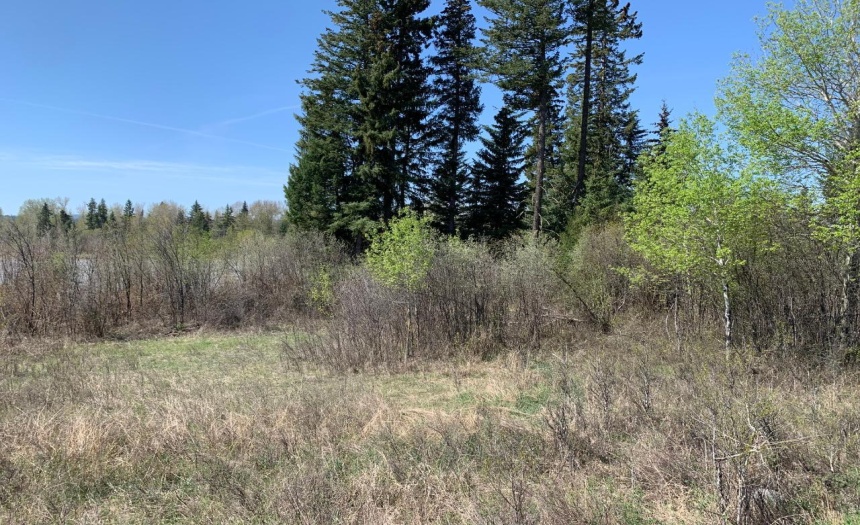 Lot 4 WARDNER-FORT STEELE ROAD, Wardner, British Columbia V0B2J0, ,Vacant Land,For Sale,WARDNER-FORT STEELE ROAD,2469705