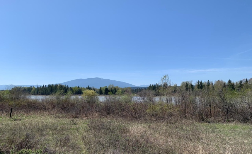 Lot 4 WARDNER-FORT STEELE ROAD, Wardner, British Columbia V0B2J0, ,Vacant Land,For Sale,WARDNER-FORT STEELE ROAD,2469705