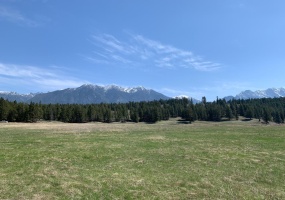 Lot 4 WARDNER-FORT STEELE ROAD, Wardner, British Columbia V0B2J0, ,Vacant Land,For Sale,WARDNER-FORT STEELE ROAD,2469705