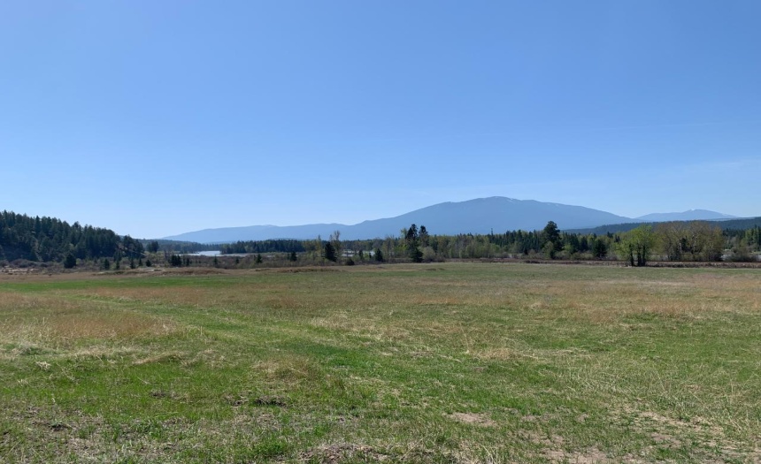 Lot 4 WARDNER-FORT STEELE ROAD, Wardner, British Columbia V0B2J0, ,Vacant Land,For Sale,WARDNER-FORT STEELE ROAD,2469705