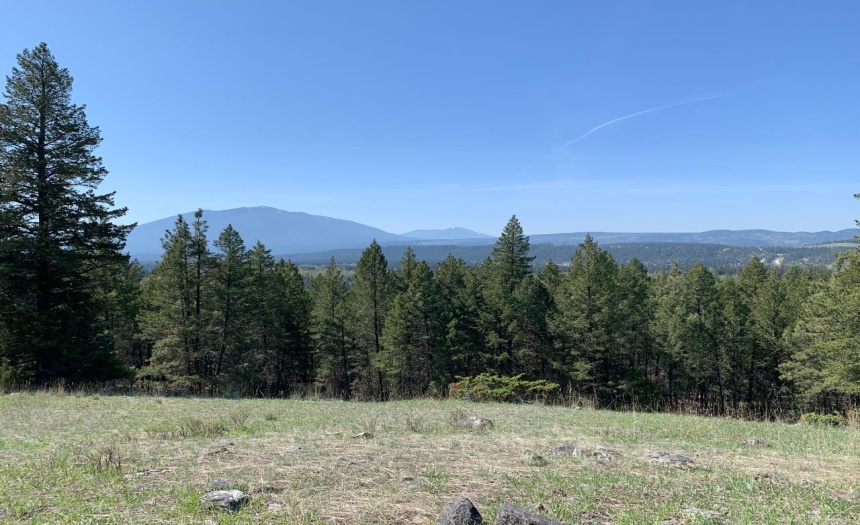 Lot 4 WARDNER-FORT STEELE ROAD, Wardner, British Columbia V0B2J0, ,Vacant Land,For Sale,WARDNER-FORT STEELE ROAD,2469705