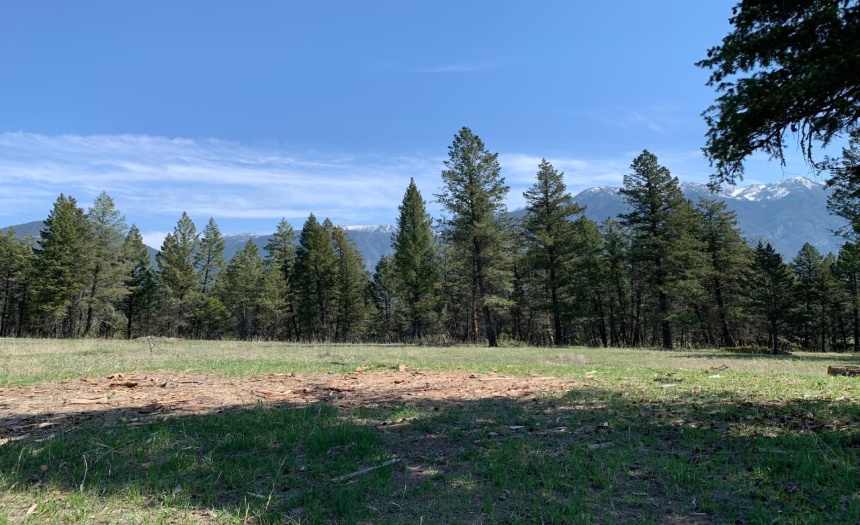 Lot 4 WARDNER-FORT STEELE ROAD, Wardner, British Columbia V0B2J0, ,Vacant Land,For Sale,WARDNER-FORT STEELE ROAD,2469705