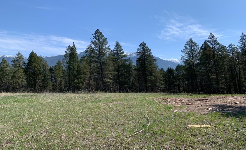 Lot 4 WARDNER-FORT STEELE ROAD, Wardner, British Columbia V0B2J0, ,Vacant Land,For Sale,WARDNER-FORT STEELE ROAD,2469705