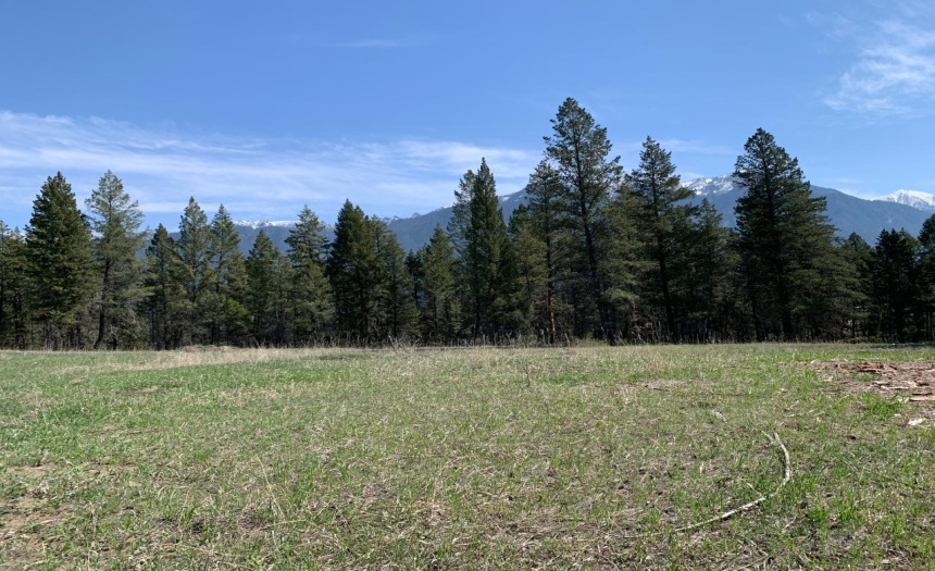 Lot 4 WARDNER-FORT STEELE ROAD, Wardner, British Columbia V0B2J0, ,Vacant Land,For Sale,WARDNER-FORT STEELE ROAD,2469705