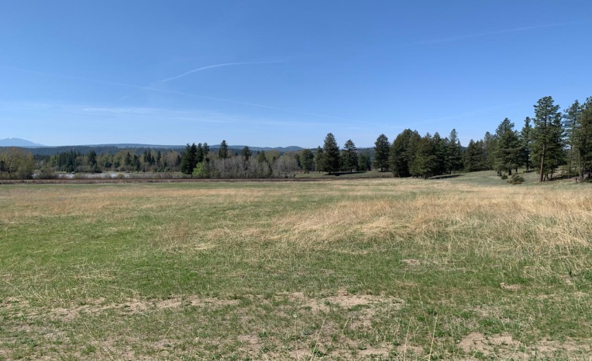 Lot 4 WARDNER-FORT STEELE ROAD, Wardner, British Columbia V0B2J0, ,Vacant Land,For Sale,WARDNER-FORT STEELE ROAD,2469705