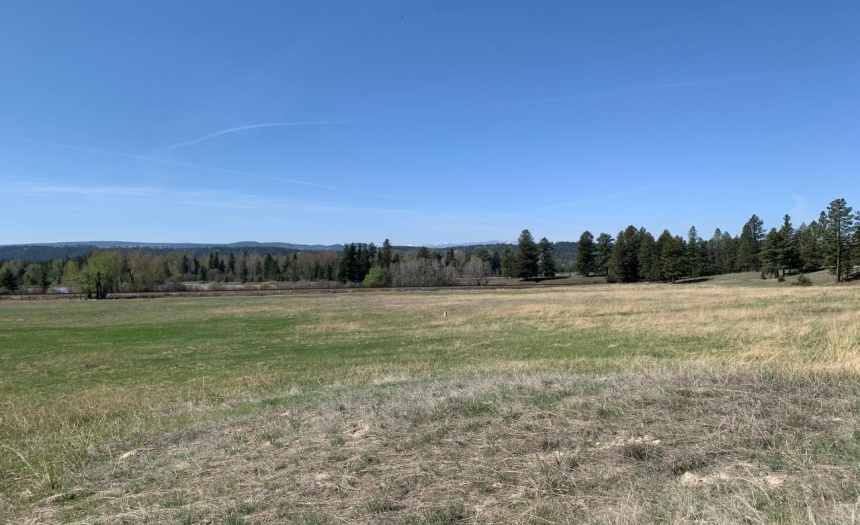 Lot 4 WARDNER-FORT STEELE ROAD, Wardner, British Columbia V0B2J0, ,Vacant Land,For Sale,WARDNER-FORT STEELE ROAD,2469705