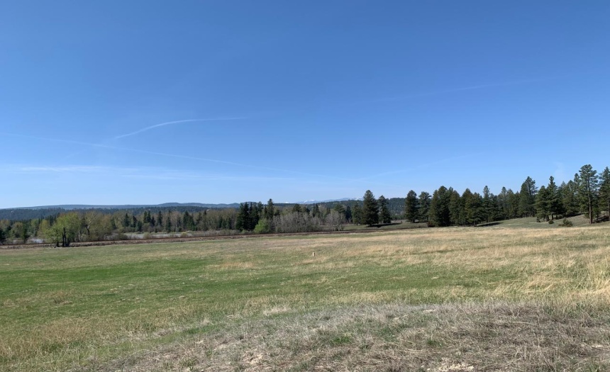 Lot 4 WARDNER-FORT STEELE ROAD, Wardner, British Columbia V0B2J0, ,Vacant Land,For Sale,WARDNER-FORT STEELE ROAD,2469705