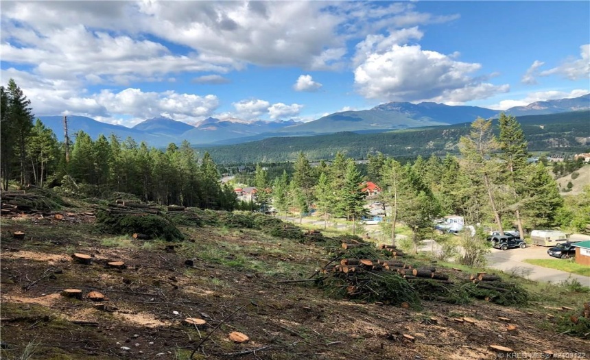 Lot 1 MADSEN ROAD, Radium Hot Springs, British Columbia V0A1M0, ,Vacant Land,For Sale,MADSEN ROAD,2470161