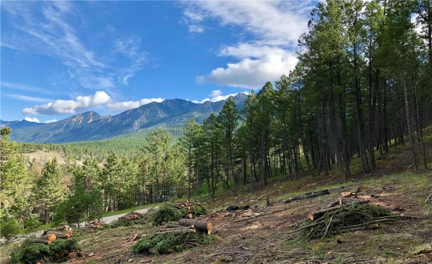 Lot 1 MADSEN ROAD, Radium Hot Springs, British Columbia V0A1M0, ,Vacant Land,For Sale,MADSEN ROAD,2470161