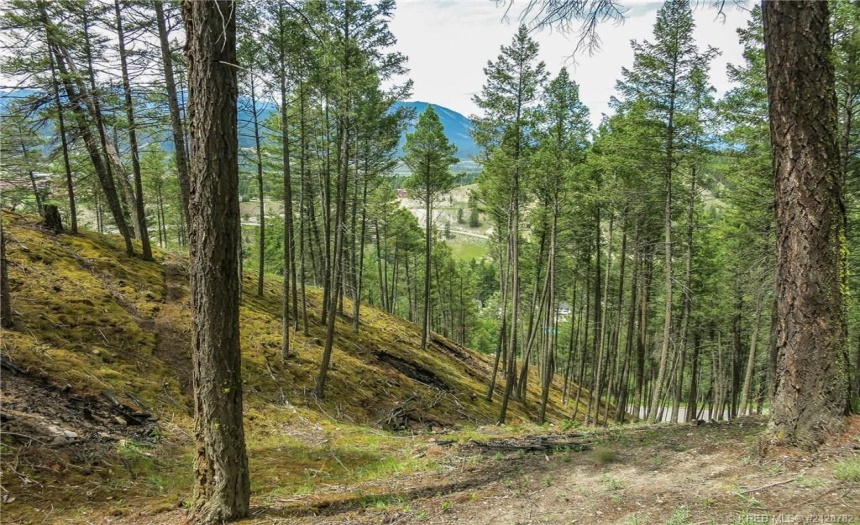 Lot A MADSEN ROAD, Radium Hot Springs, British Columbia V0A1M0, ,Vacant Land,For Sale,MADSEN ROAD,2470162