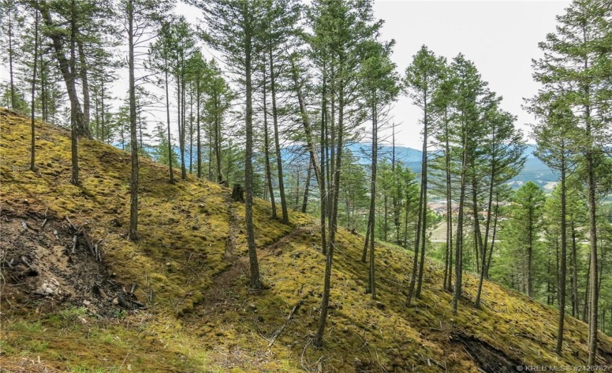 Lot A MADSEN ROAD, Radium Hot Springs, British Columbia V0A1M0, ,Vacant Land,For Sale,MADSEN ROAD,2470162