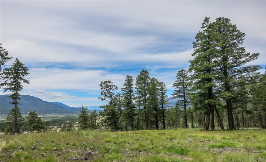 Lot A MADSEN ROAD, Radium Hot Springs, British Columbia V0A1M0, ,Vacant Land,For Sale,MADSEN ROAD,2470162