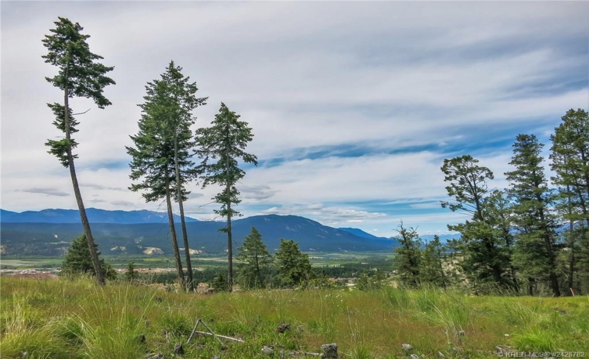 Lot A MADSEN ROAD, Radium Hot Springs, British Columbia V0A1M0, ,Vacant Land,For Sale,MADSEN ROAD,2470162