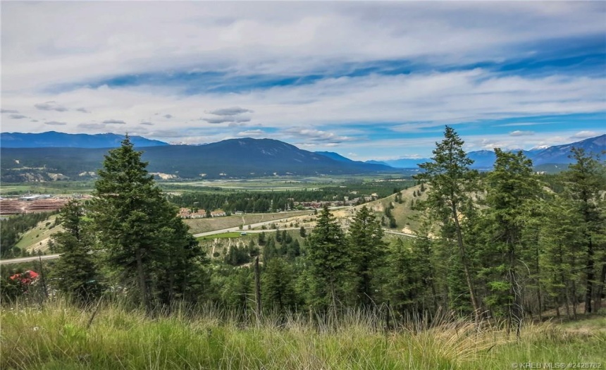 Lot A MADSEN ROAD, Radium Hot Springs, British Columbia V0A1M0, ,Vacant Land,For Sale,MADSEN ROAD,2470162