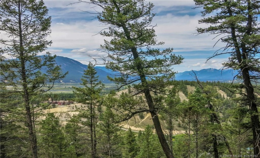 Lot A MADSEN ROAD, Radium Hot Springs, British Columbia V0A1M0, ,Vacant Land,For Sale,MADSEN ROAD,2470162