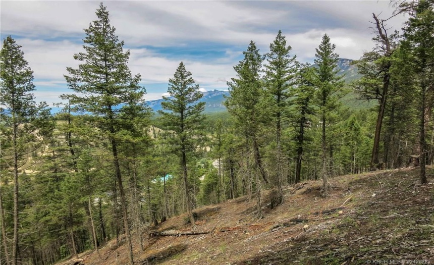 Lot A MADSEN ROAD, Radium Hot Springs, British Columbia V0A1M0, ,Vacant Land,For Sale,MADSEN ROAD,2470162