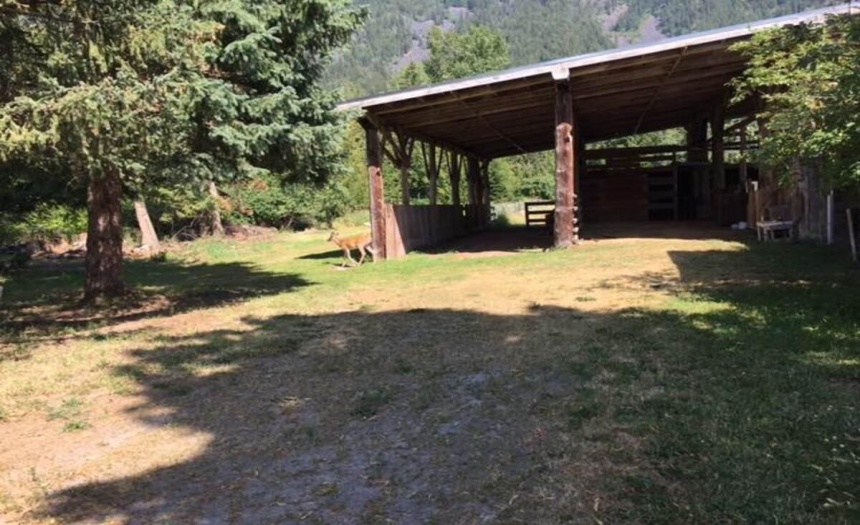 4856 32ND STREET, Canyon, British Columbia V0B1C1, 3 Bedrooms Bedrooms, ,3 BathroomsBathrooms,Single Family,For Sale,32ND STREET,2469819