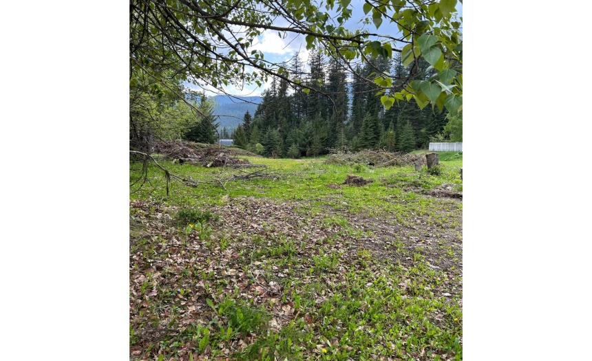 23 CHEROKEE DRIVE, Elkford, British Columbia V0B1H0, ,Vacant Land,For Sale,CHEROKEE DRIVE,2471050