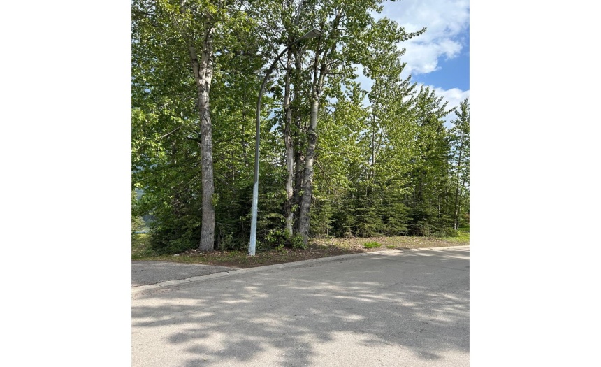 1 CALEDONIA PLACE, Elkford, British Columbia V0B1H0, ,Vacant Land,For Sale,CALEDONIA PLACE,2471047