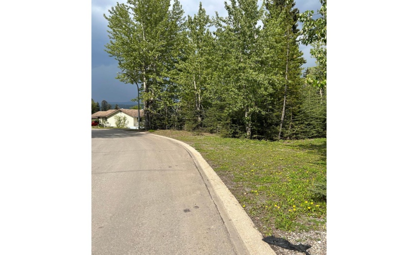 1 CALEDONIA PLACE, Elkford, British Columbia V0B1H0, ,Vacant Land,For Sale,CALEDONIA PLACE,2471047