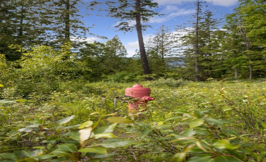 Lot 48 CRAWFORD CREEK ROAD, Crawford Bay, British Columbia V0B1E0, ,Vacant Land,For Sale,CRAWFORD CREEK ROAD,2471209