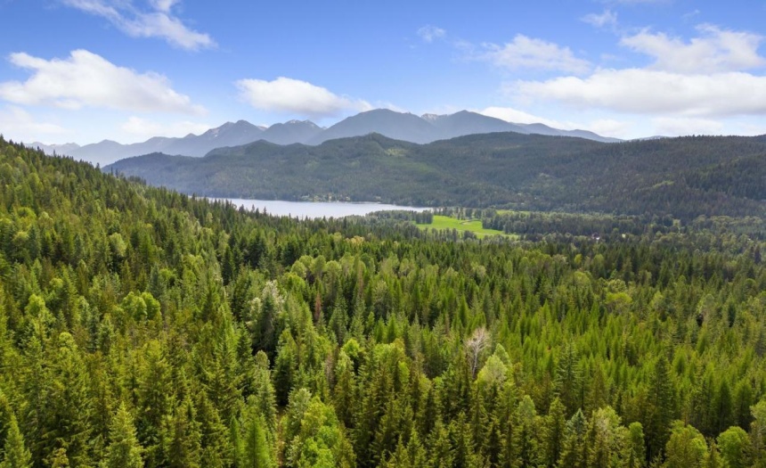 Lot 48 CRAWFORD CREEK ROAD, Crawford Bay, British Columbia V0B1E0, ,Vacant Land,For Sale,CRAWFORD CREEK ROAD,2471209