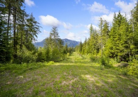 Lot 48 CRAWFORD CREEK ROAD, Crawford Bay, British Columbia V0B1E0, ,Vacant Land,For Sale,CRAWFORD CREEK ROAD,2471209