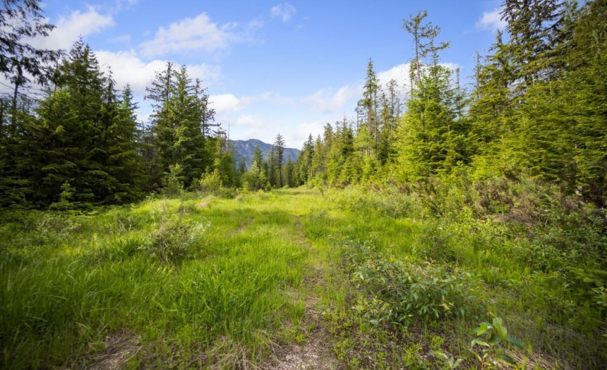 Lot 48 CRAWFORD CREEK ROAD, Crawford Bay, British Columbia V0B1E0, ,Vacant Land,For Sale,CRAWFORD CREEK ROAD,2471209