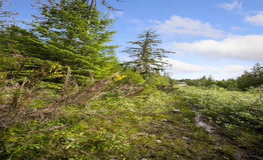 Lot 48 CRAWFORD CREEK ROAD, Crawford Bay, British Columbia V0B1E0, ,Vacant Land,For Sale,CRAWFORD CREEK ROAD,2471209