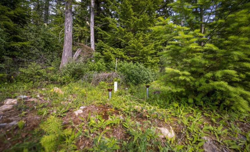 Lot 48 CRAWFORD CREEK ROAD, Crawford Bay, British Columbia V0B1E0, ,Vacant Land,For Sale,CRAWFORD CREEK ROAD,2471209