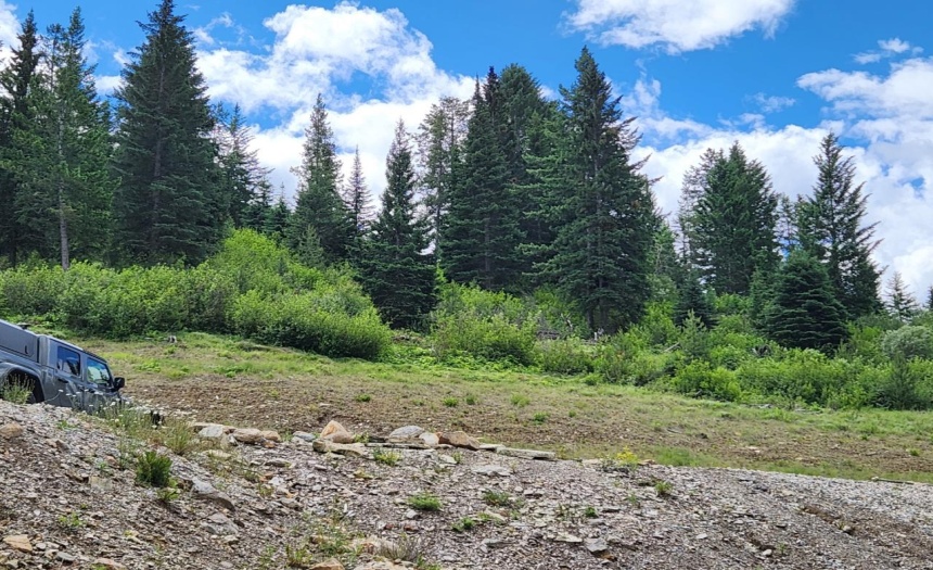 Lot 9 TRAPPERS WAY, Panorama, British Columbia V0A1T0, ,Vacant Land,For Sale,TRAPPERS WAY,2471590