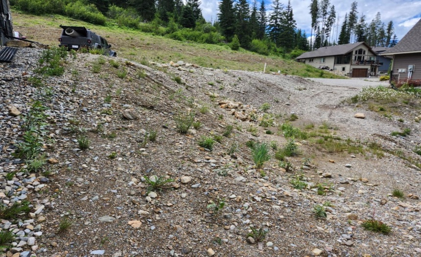 Lot 9 TRAPPERS WAY, Panorama, British Columbia V0A1T0, ,Vacant Land,For Sale,TRAPPERS WAY,2471590