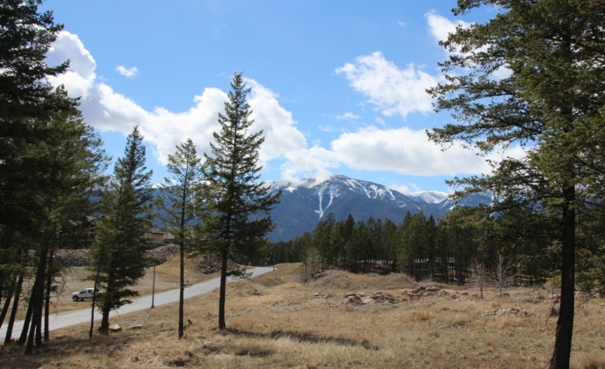 2476 CASTLESTONE DRIVE, Invermere, British Columbia V0A1K6, ,Vacant Land,For Sale,CASTLESTONE DRIVE,2471696