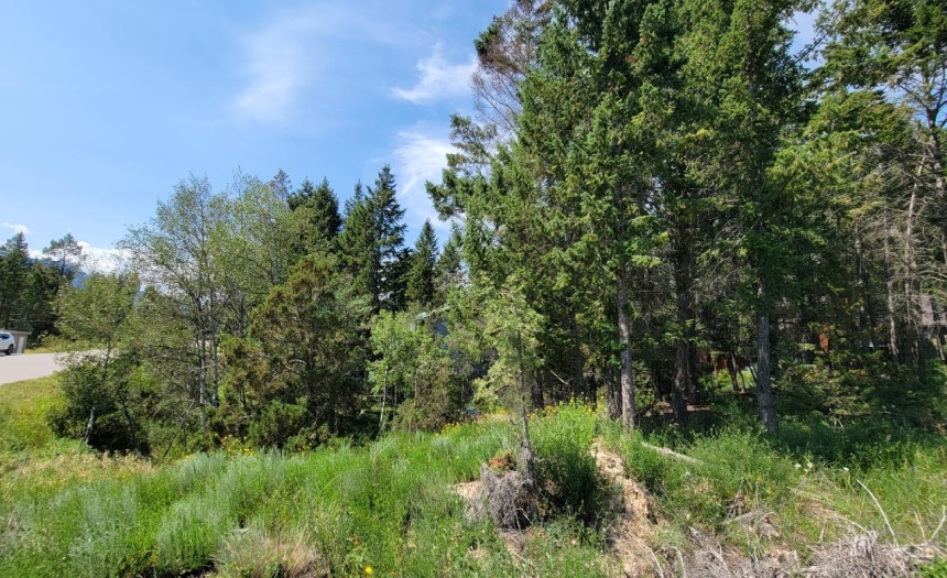 Lot 35 TIMBER RIDGE ROAD, Windermere, British Columbia V0A1K3, ,Vacant Land,For Sale,TIMBER RIDGE ROAD,2472037