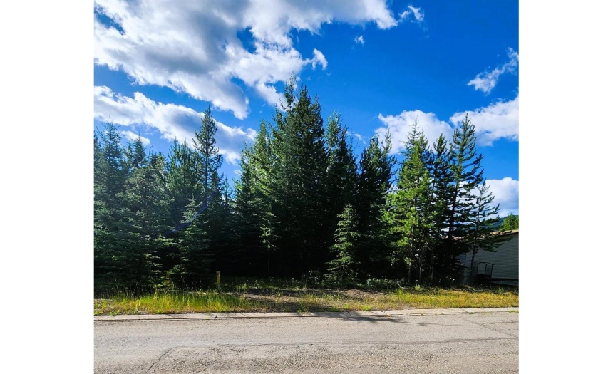 12 DOGWOOD PLACE, Elkford, British Columbia V0B1H0, ,Vacant Land,For Sale,DOGWOOD PLACE,2472366