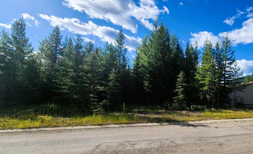 11 DOGWOOD PLACE, Elkford, British Columbia V0b1H0, ,Vacant Land,For Sale,DOGWOOD PLACE,2472365