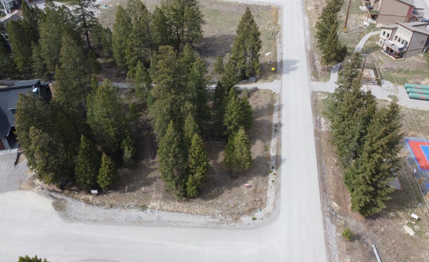 Lot 1 PEDLEY HEIGHTS DRIVE, Windermere, British Columbia V0B2L1, ,Vacant Land,For Sale,PEDLEY HEIGHTS DRIVE,2468886