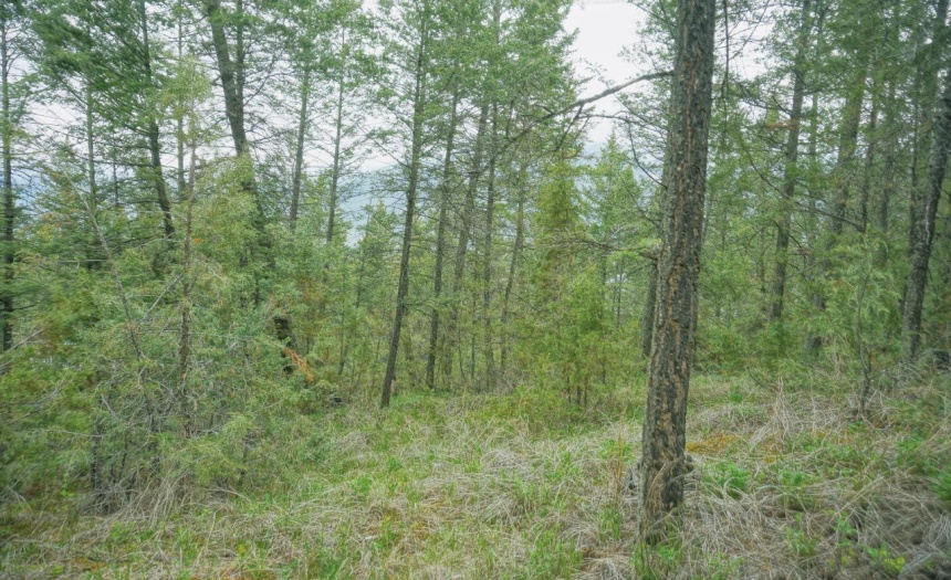 Lot 7 BELLA VISTA BOULEVARD, Fairmont Hot Springs, British Columbia V0B1L1, ,Vacant Land,For Sale,BELLA VISTA BOULEVARD,2472451