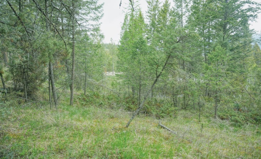 Lot 7 BELLA VISTA BOULEVARD, Fairmont Hot Springs, British Columbia V0B1L1, ,Vacant Land,For Sale,BELLA VISTA BOULEVARD,2472451