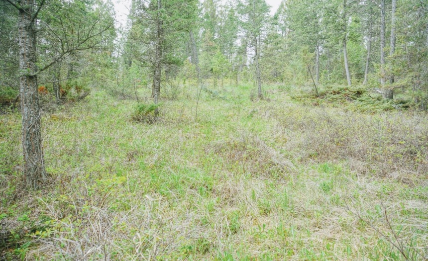 Lot 7 BELLA VISTA BOULEVARD, Fairmont Hot Springs, British Columbia V0B1L1, ,Vacant Land,For Sale,BELLA VISTA BOULEVARD,2472451