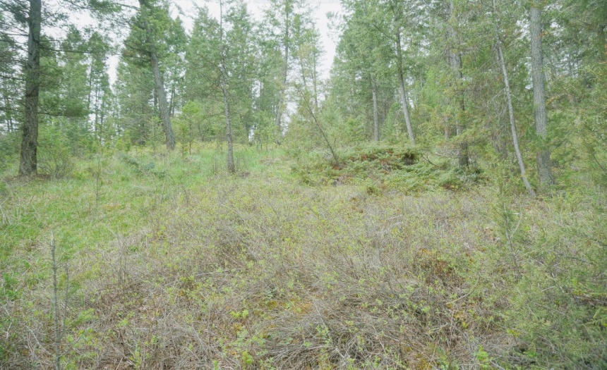 Lot 7 BELLA VISTA BOULEVARD, Fairmont Hot Springs, British Columbia V0B1L1, ,Vacant Land,For Sale,BELLA VISTA BOULEVARD,2472451