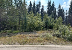 23 DOUGLAS CRESCENT, Elkford, British Columbia V0B1H0, ,Vacant Land,For Sale,DOUGLAS CRESCENT,2472635