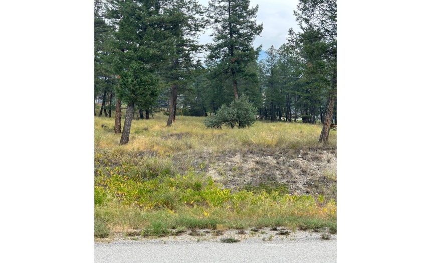 Lot 27 MOUNTAIN HILL ROAD, Fairmont Hot Springs, British Columbia V0B1L1, ,Vacant Land,For Sale,MOUNTAIN HILL ROAD,2472648