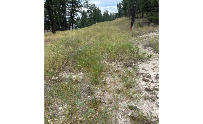 Lot 27 MOUNTAIN HILL ROAD, Fairmont Hot Springs, British Columbia V0B1L1, ,Vacant Land,For Sale,MOUNTAIN HILL ROAD,2472648