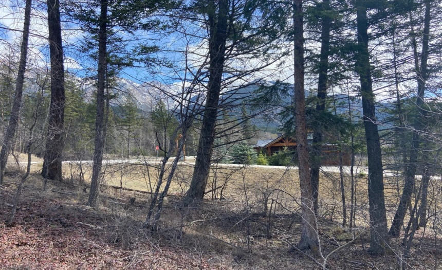 Lot 22 EAGLEBROOK COURT, Fairmont Hot Springs, British Columbia V0B2L0, ,Vacant Land,For Sale,EAGLEBROOK COURT,2472884