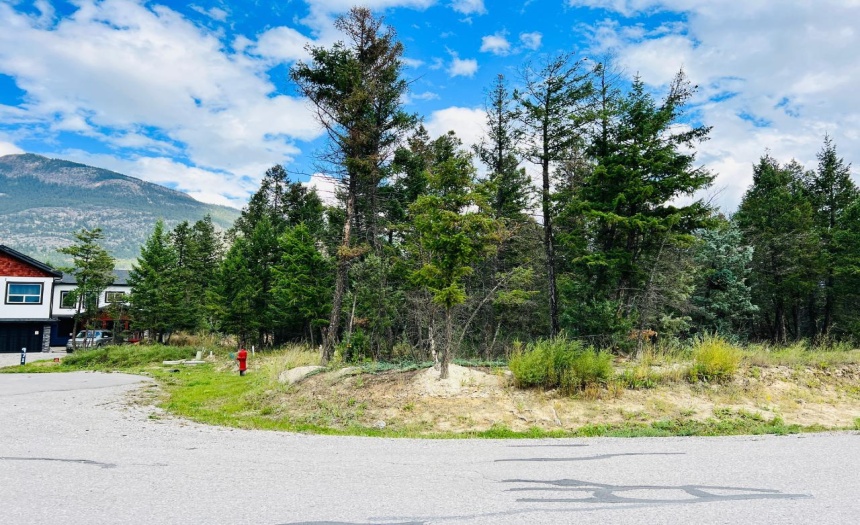 Lot 70 COPPER POINT WAY, Windermere, British Columbia V0A1K2, ,Vacant Land,For Sale,COPPER POINT WAY,2472899