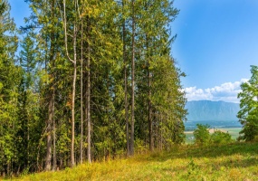 Lot 4 SIMMONS ROAD, Creston, British Columbia V0B1E0, ,Vacant Land,For Sale,SIMMONS ROAD,2472947