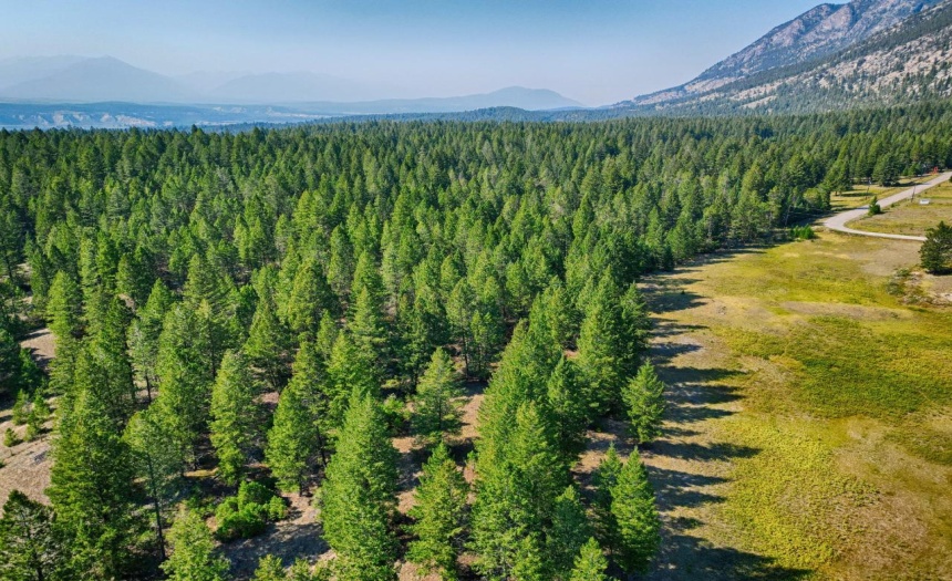 Lot D JUNIPER HEIGHTS ROAD, Invermere, British Columbia V0A1K2, ,Vacant Land,For Sale,JUNIPER HEIGHTS ROAD,2473016