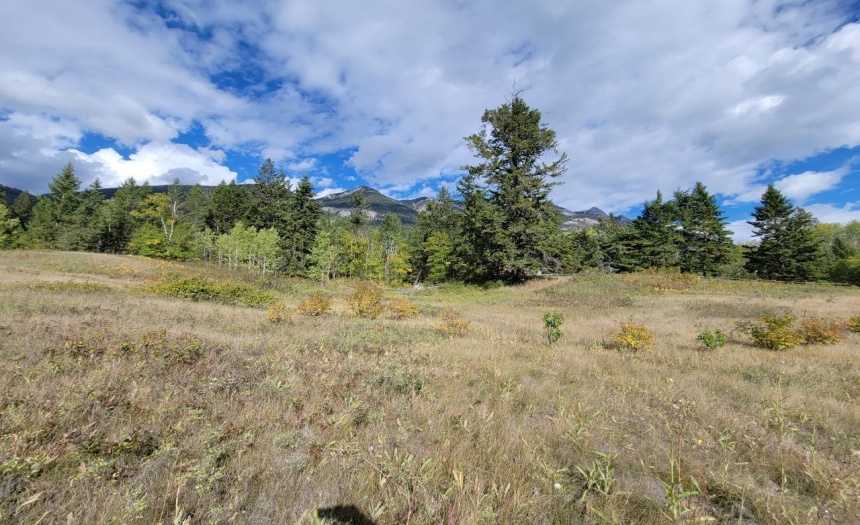 Lot 1 BERREY ROAD, Brisco, British Columbia V0A1B0, ,Vacant Land,For Sale,BERREY ROAD,2473077